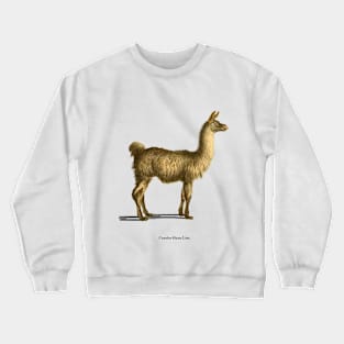 For the love of Llamas Crewneck Sweatshirt